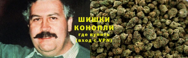 первитин Ладушкин