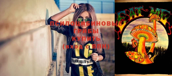 первитин Ладушкин