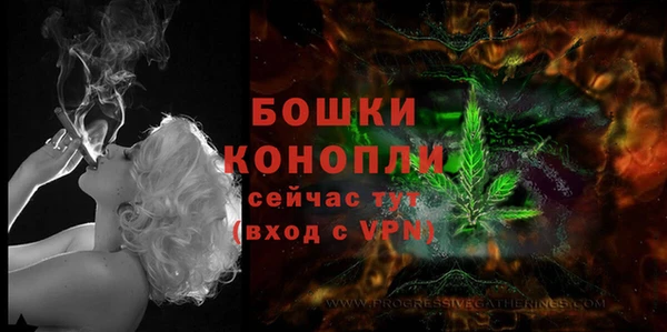первитин Ладушкин